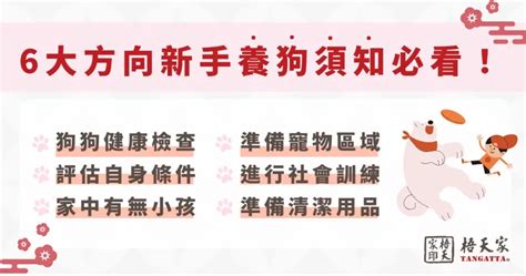 養狗空間|新手養狗入門指南！從物品準備到環境佈置，獸醫師分享 7 大常見。